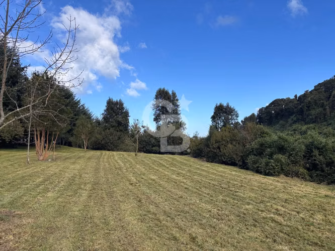 Hectárea , camino bajos de Frutillar, sin condominio - Imagen 7