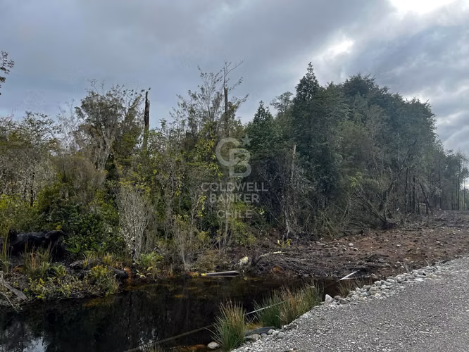 ¡Parcela de Ensueño en Bosque Nativo, Puerto Varas!