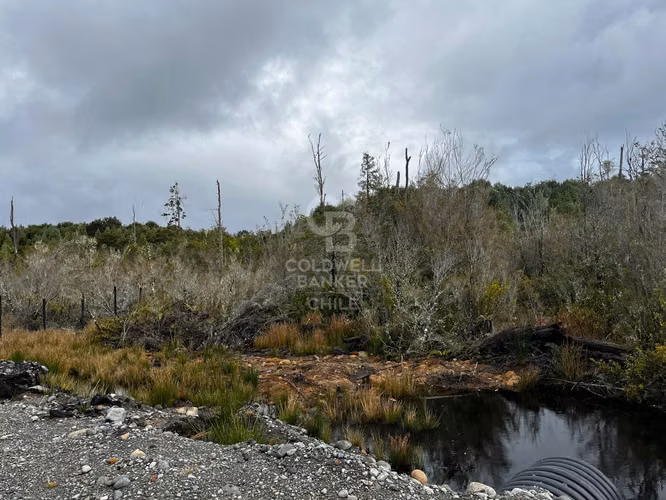 ¡Parcela de Ensueño en Bosque Nativo, Puerto Varas!