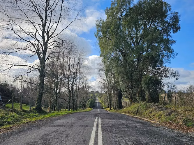 ¡Descubre tu rincón ideal en Mantilhue en el Lago Puyehue!