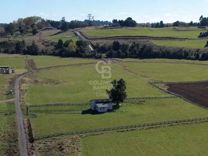 ¡Descubre tu rincón ideal en Mantilhue en el Lago Puyehue!