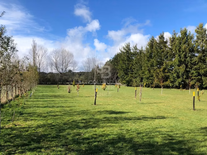 Bella parcela a minutos de Puerto Varas con bajada a lago.