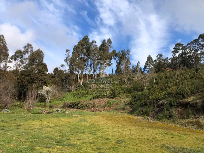 Gran Terreno en Frutillar: ¡Una Oportunidad de Inversión!