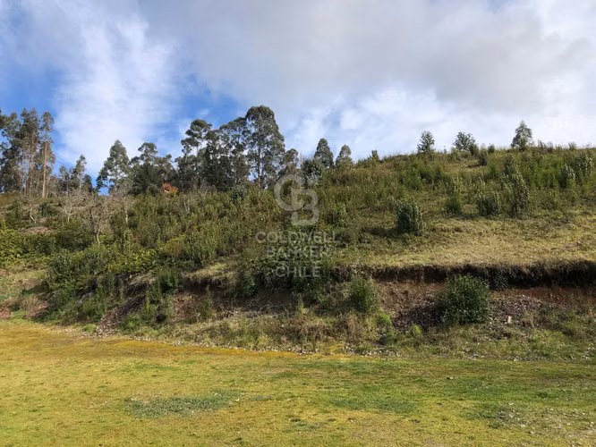 Gran Terreno en Frutillar: ¡Una Oportunidad de Inversión!