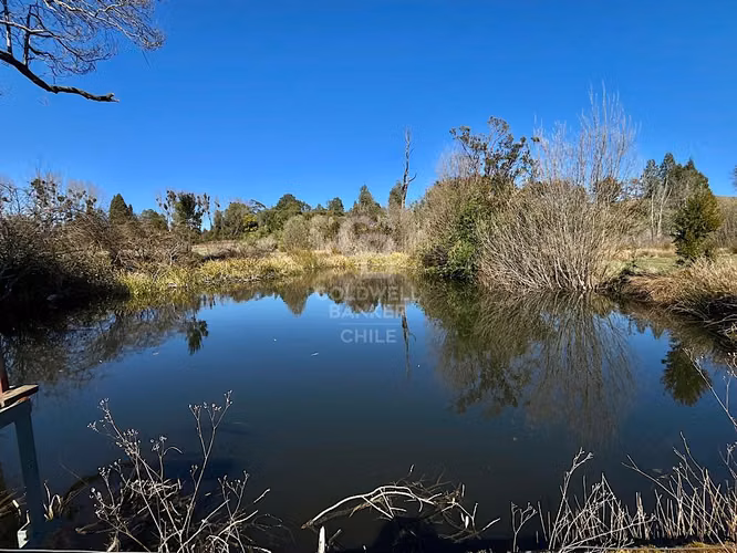 Un Paraíso del Sur de Chile, sitios con acceso  al lago.