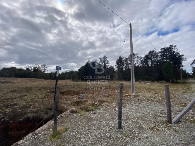 Parcela Nueva Braunau-Puerto Varas