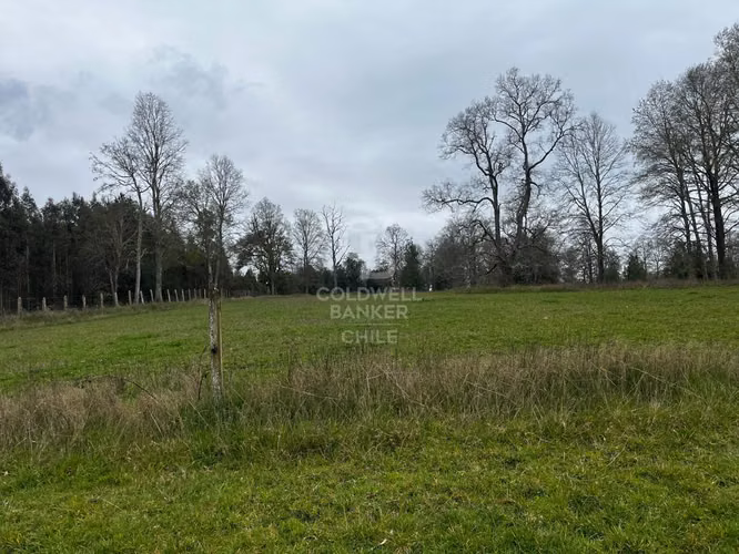Predio de 21,5 hectáreas con potencial inmobiliario Osorno