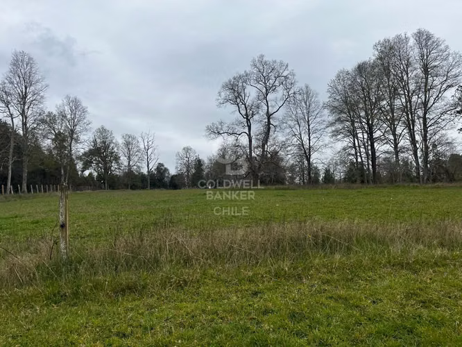 Predio de 21,5 hectáreas con potencial inmobiliario Osorno