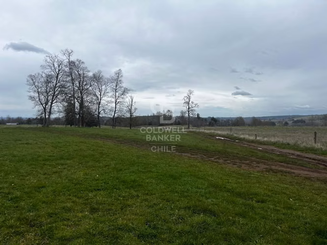 Predio de 21,5 hectáreas con potencial inmobiliario Osorno