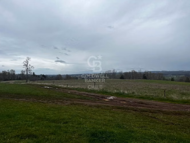 Predio de 21,5 hectáreas con potencial inmobiliario Osorno