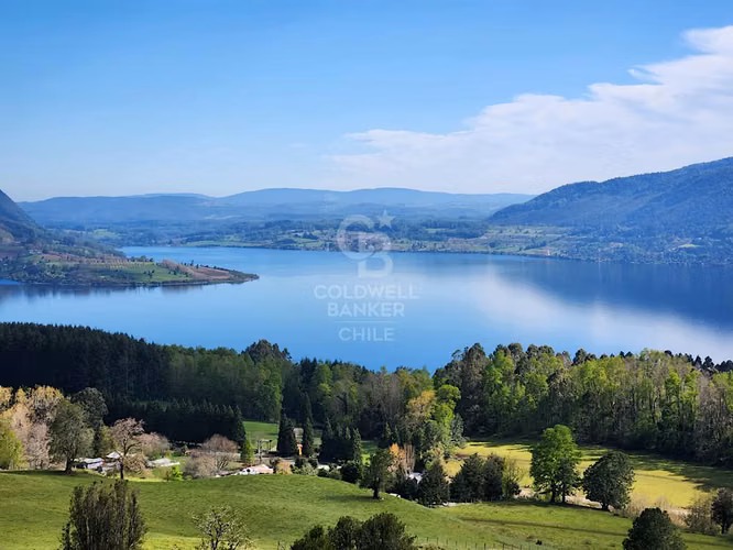 Hermosa parcela con vista al Lago  Riñihue..
