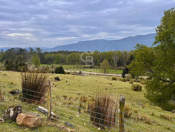 Hermosa parcela con vista al Lago  Riñihue..