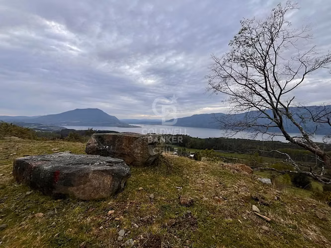 Hermosa parcela con vista al Lago  Riñihue..