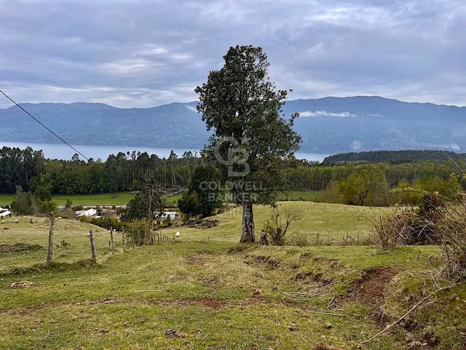 Hermosa parcela con vista al Lago  Riñihue..
