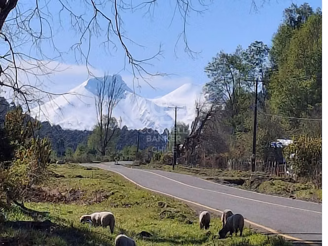 Hermosa parcela con vista al Lago  Riñihue..
