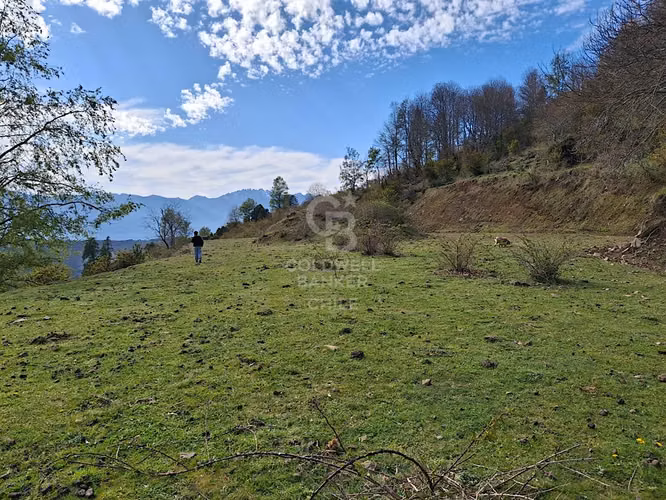 Hermosa parcela con vista al Lago  Riñihue..