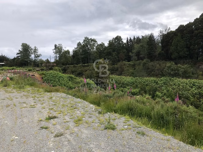 3 ha ruta 5 salida hacia Puerto Montt desde Puerto Varas