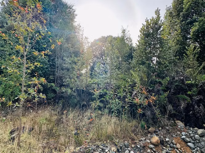 Hermosa Parcela en Alerce