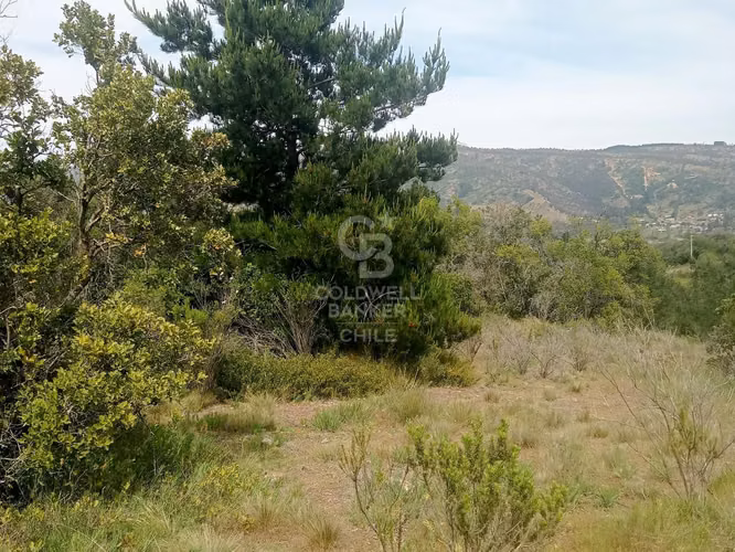 Parcela en Condominio con Laguna Las Dichas