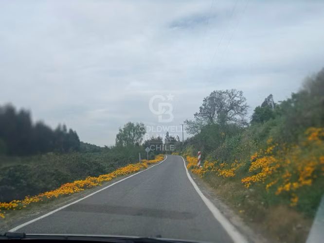 Parcela en Condominio con Laguna Las Dichas