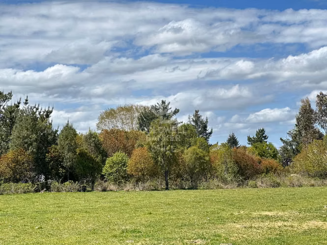 Parcela a minutos de Osorno, camino a Puerto Octay