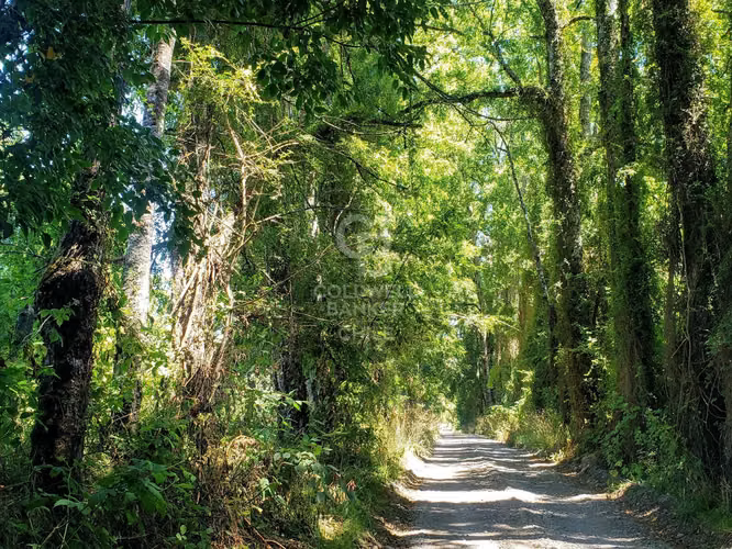 Parcela a minutos de Osorno, camino a Puerto Octay