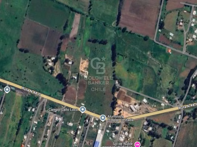 Terreno 110 Ha Orilla de Carretera Bulnes, Bío Bío