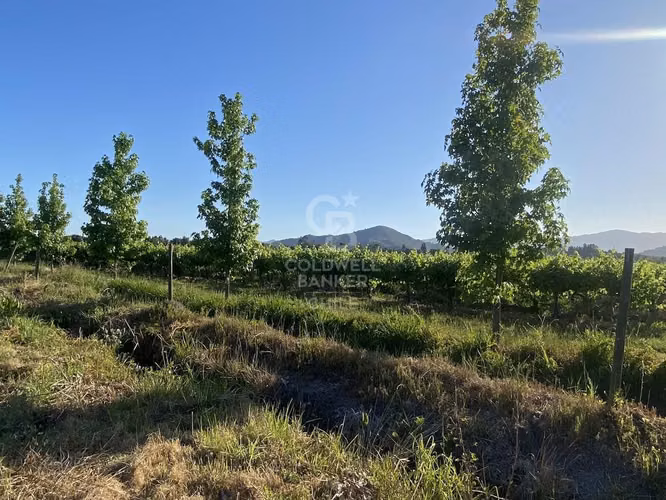 Parcela con gran casa en Colchagua
