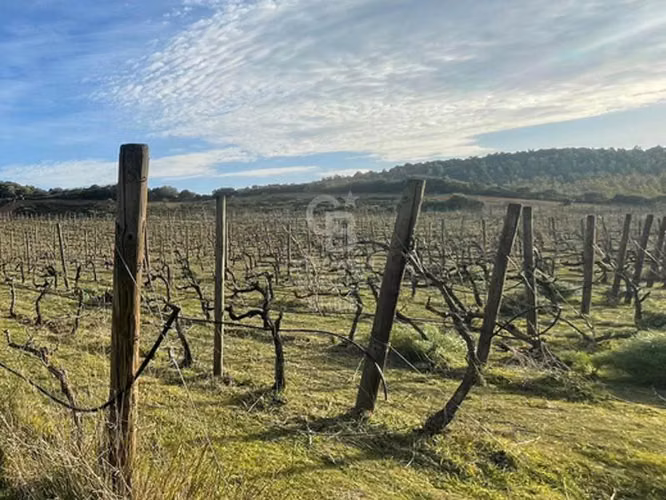 Parcela con gran casa en Colchagua