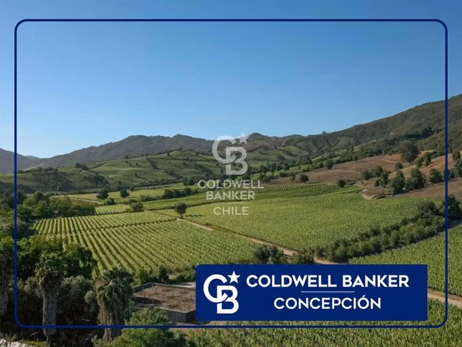 Parcela con gran casa en Colchagua