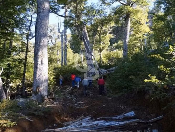 Venta Bosque Nativo 14,6 ha, Reserva Nacional Río Simpson - Imagen 8
