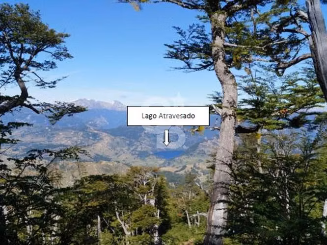 Venta Bosque Nativo 14,6 ha, Reserva Nacional Río Simpson - Imagen 50