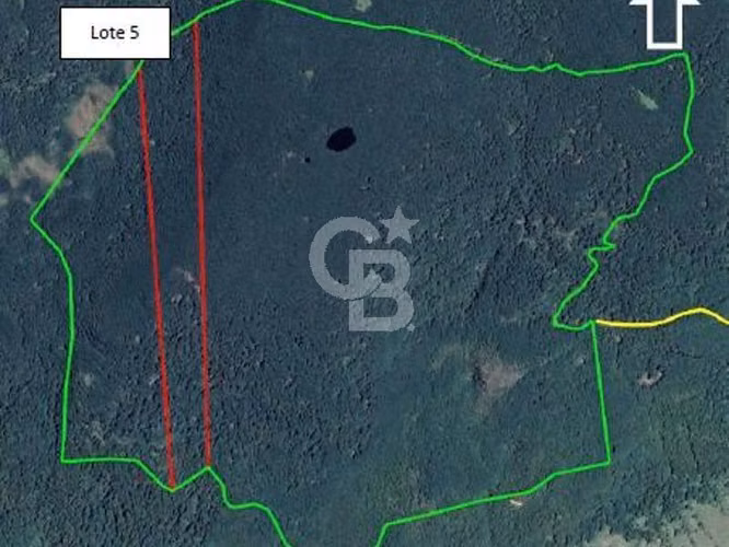 Venta Bosque Nativo 14,6 ha, Reserva Nacional Río Simpson - Imagen 11