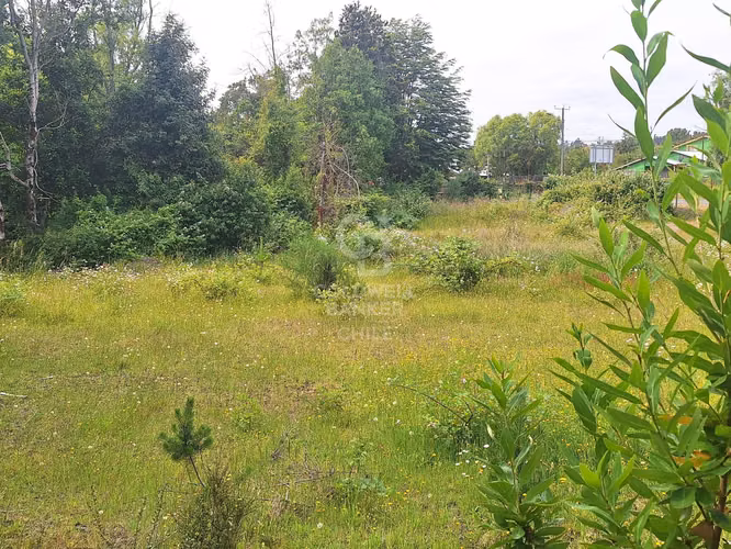 Sitio urbano con gran proyección comercial