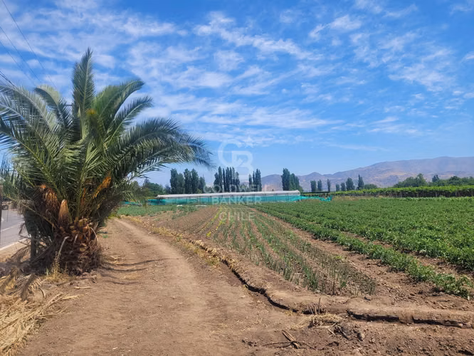 Parcela Sector Santa Maria, San Felipe