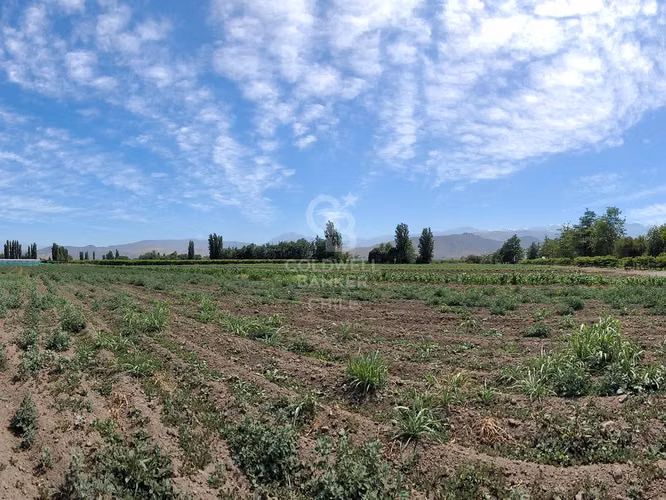 Parcela I Sector Santa Maria, San Felipe