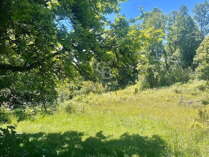Hermoso Campo en Futrono.