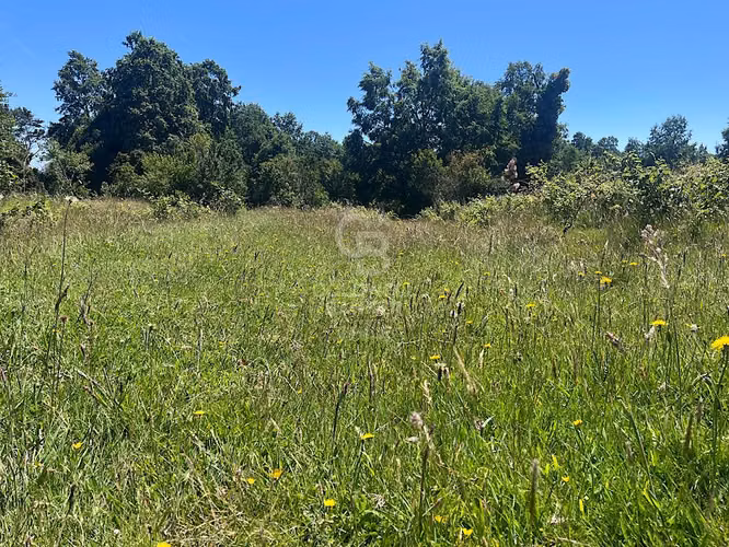 Hermoso Campo en Futrono.