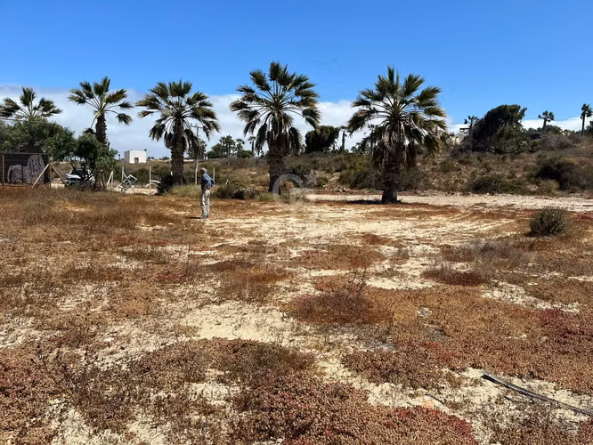 Terreno en Las tacas para desarrollo 6.000m2