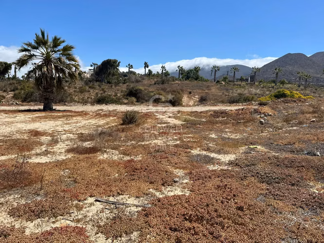 Terreno en Las tacas para desarrollo 6.000m2