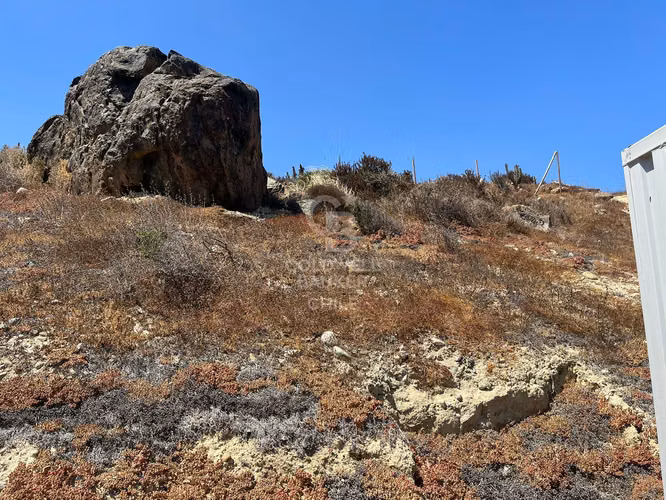 Terreno en Las tacas para desarrollo 6.000m2