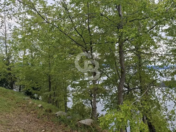 Parcela con Vista al Lago, Muelle y Lista para Construir