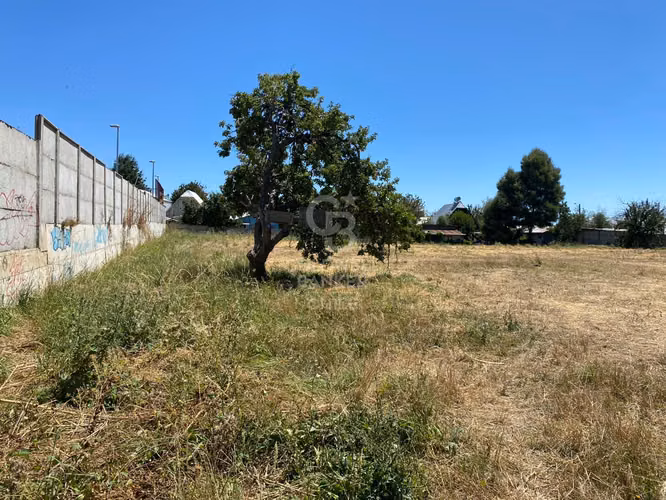Terreno en San Pablo A 30 minutos de Osorno.