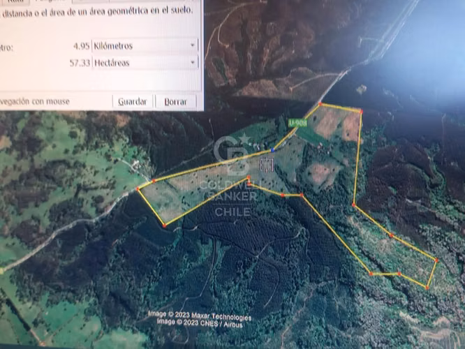 Campo de 65 hectáreas en Fresia ( al poniente de Purranque)