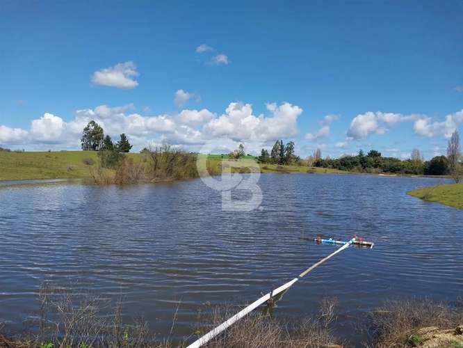 Campo agrícola con Laguna, estero y casa