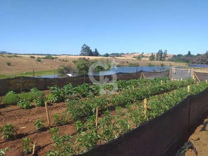 Campo agrícola con Laguna, estero y casa
