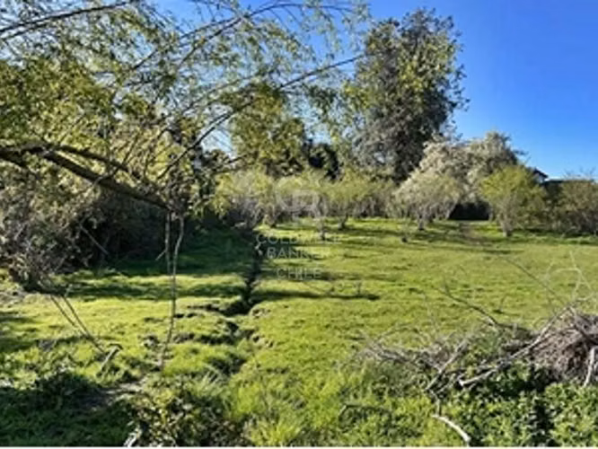 Campo de 31,92 hectáreas en Frutillar