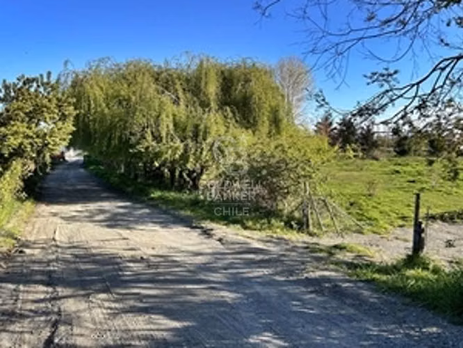 Campo de 31,92 hectáreas en Frutillar