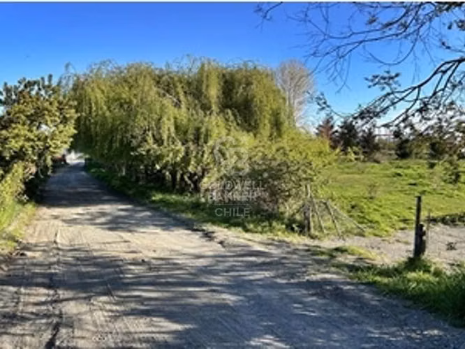 Campo de 31,92 hectáreas en Frutillar