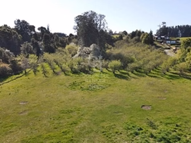 Campo de 31,92 hectáreas en Frutillar